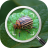 icon Insect Identifier(Identificazione degli insetti: Identificatore di bug - Bug finder
) 1.0