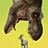 icon Jurassic Survivor(Jurassic Survivor: Evolved) 3.73