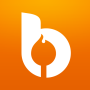 icon Bonfyre