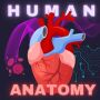 icon Human Anatomy E Theories(Anatomia umana E Teorie
)