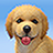 icon My Dog(My Dog: Puppy Simulator Games) 2.2.6