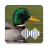 icon Duck Calls(Caccia alle anatre
) 2.0