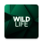 icon Wildlife(Fortune Tiger) 1.2.1