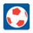 icon Copa 2024 4.4.2