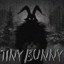 icon com.tinybunny.najbouhlal(Tiny Bunny новелла suggerimenti
)