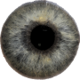 icon Eye Diagnosis(Diagnosi oculare)