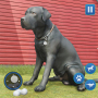 icon Dog Sim MC(Dog Sim Simulatore di animali Dog Life)