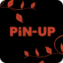 icon Pin.Up(Pin AP 2021 del riproduttore video HD - nuovo prodotto!
)