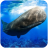 icon The Sperm Whale(The Sperm Whale
) 1.0.1