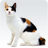 icon Animal sounds(Suoni di animali) 2.14