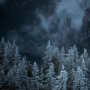 icon Forest Wallpapers(Sfondi foresta)