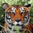 icon Tiger Wallpaper(Sfondi di tigre) 2.1.0