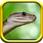 icon Snake(Snake Simulator Rampge)