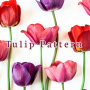 icon Tulip Pattern(Flower Wallpaper Tulip Pattern Theme
)