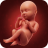 icon Pregnancy Calculator(Gravidanza Tracker Calculator) 4.3