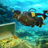 icon Scuba Diver Treasure Hunt(Scuba Diver Swimming Treasure) 1.2