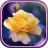 icon Roses Live Wallpaper(Sfondo di rose) 1.0.4