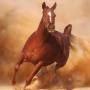 icon Horse Run