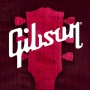 icon Gibson: Learn to Play Guitar ()