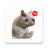 icon com.proWAStickerApps.catsmemes.memesdegatos(Cat Memes Adesivi WASticker) 1.6.0