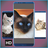 icon Gatos lindos para fondos HD(Cute Cats Wallpaper) 1.0.4