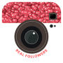 icon Real Followers for instagram(Get seguaci reali per instagram
)