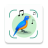 icon Bird Sound Identify(Identificatore sonoro degli uccelli ID uccello) 1.2.8