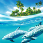 icon Dolphin Live Wallpaper