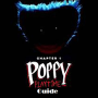icon Guide: Poppy Horror Playtime(Guide: Poppy Horror Platime
)