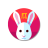 icon Fast Rabbit VPN(Fast Rabbit VPN
) 1.2