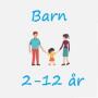 icon Barnas Plattform(La piattaforma per bambini)