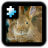 icon Rabbit(Jigsaw Puzzle: coniglio) 2.0
