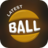 icon Latest Ball Race(Ultimo BallRace-Color BallRace) 1.8