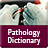 icon Pathology Dictionary(Dizionario di patologia) 1.1.1
