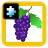 icon Fruit(Puzzle per bambini: frutta) 2.0