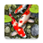 icon Koi Fish HD Wallpaper(animato Koi Fish) 1.0