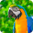 icon 7Fon Parrots(Parrot Wallpapers 4K) 5.8.04
