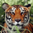 icon Tiger Wallpapers(Sfondi di tigre) 3.0.1