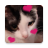 icon Stickers Cats(WAStickerApps Adesivi Gatti) 6.0