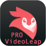 icon Android VideoLeap Editor PRO Guide (Guida per Android VideoLeap Editor PRO
)