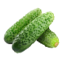 icon tj.agroinform.cucumber(Cetriolo: dalla 