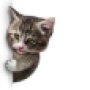 icon Catbusters(Catbuster: trova il gatto)