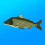 icon com.andromeda.truefishing(pesca vera. Simulator)