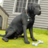 icon Dog Sim MC(Dog Sim Simulatore di animali Dog Life) 1.1.6