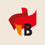 icon Bronevik.com