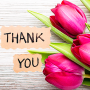 icon Thank You Sticker for WhatsApp (Adesivo di ringraziamento per WhatsApp)