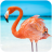 icon The Flamingo(The Flamingo
) 1.0.6