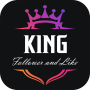 icon King Organic Follower 2022(King Follower organico 2022
)