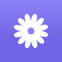 icon daisies® ()