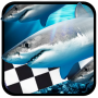 icon FishRace(Fish Race)